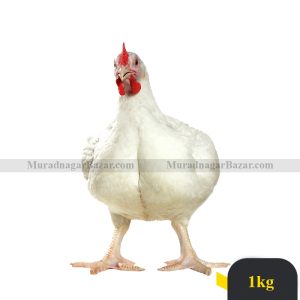 Broiler Chicken Skin Off