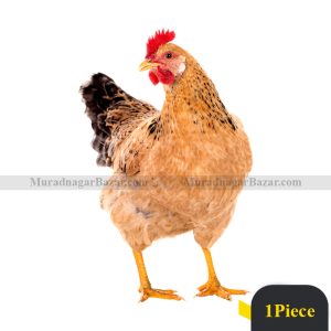 Deshi Chicken